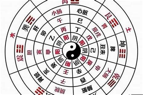 八字缺木火|怎么看自己的八字属性？